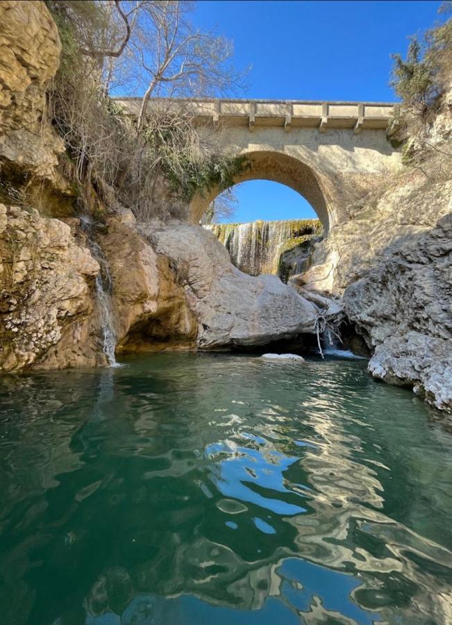 Sous Les Etoiles En Provence, Gite Les Bambous Lurs Dış mekan fotoğraf